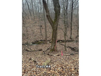 A 21.58 Acre property in Pulaski County with HUGE Potential! - photo 25