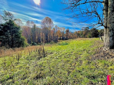 A 21.58 Acre property in Pulaski County with HUGE Potential! - photo 30