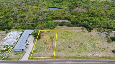 BUILD YOUR FLORIDA DREAM HOME ON AN OVERSIZED LOT IN ROTONDA - photo 1