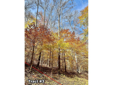 A 21.58 Acre property in Pulaski County with HUGE Potential! - photo 32