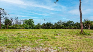 BUILD YOUR FLORIDA DREAM HOME ON AN OVERSIZED LOT IN ROTONDA - photo 3