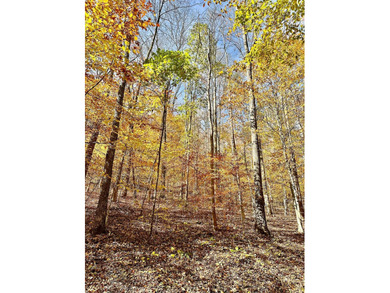 A 21.58 Acre property in Pulaski County with HUGE Potential! - photo 33