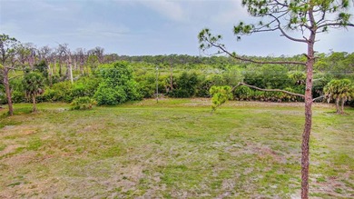 BUILD YOUR FLORIDA DREAM HOME ON AN OVERSIZED LOT IN ROTONDA - photo 4