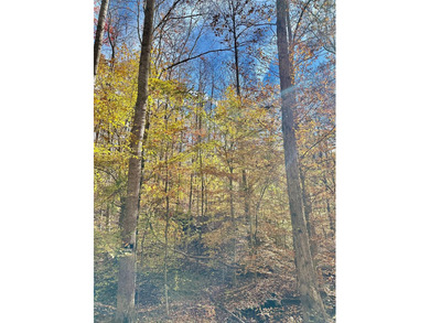 A 21.58 Acre property in Pulaski County with HUGE Potential! - photo 34