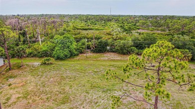BUILD YOUR FLORIDA DREAM HOME ON AN OVERSIZED LOT IN ROTONDA - photo 5