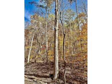 A 21.58 Acre property in Pulaski County with HUGE Potential! - photo 35