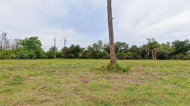 BUILD YOUR FLORIDA DREAM HOME ON AN OVERSIZED LOT IN ROTONDA - photo 6