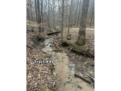 A 21.58 Acre property in Pulaski County with HUGE Potential! - photo 40