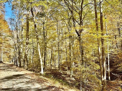 A 21.58 Acre property in Pulaski County with HUGE Potential! - photo 42