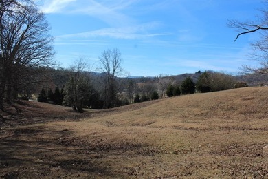 Charming Brick Ranch on 2.4 Acres with Mountain, pasture and - photo 43