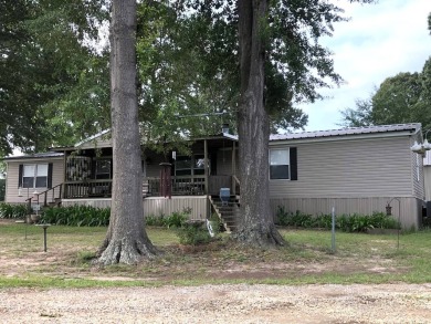 Toledo Bend Reservoir Home For Sale in Many Louisiana