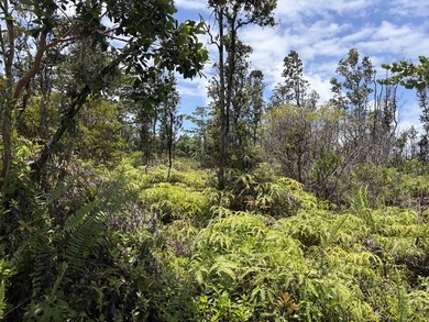BREEZY and BUILDABLE one acre lot, located in the sunny KALOLI - photo 1