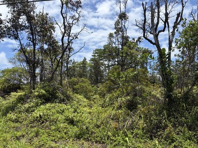 BREEZY and BUILDABLE one acre lot, located in the sunny KALOLI - photo 3