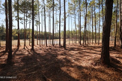 Discover 8 acres of hardwood-filled highland overlooking an - photo 3
