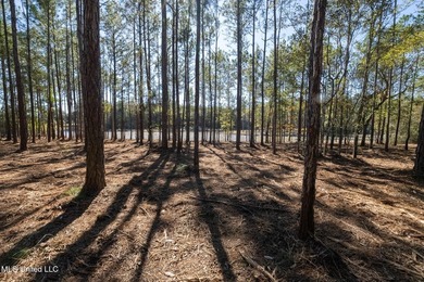 Discover 8 acres of hardwood-filled highland overlooking an - photo 4