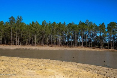 Discover 8 acres of hardwood-filled highland overlooking an - photo 6