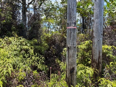 BREEZY and BUILDABLE one acre lot, located in the sunny KALOLI - photo 8
