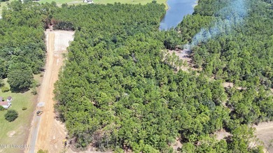Discover 8 acres of hardwood-filled highland overlooking an - photo 8