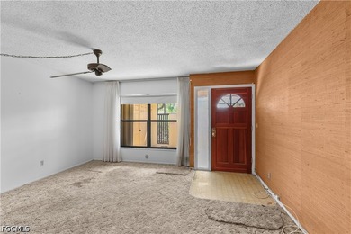 Priced to sell, this 3-bedroom, 1-bath villa in Principia Garden - photo 9