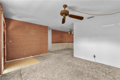 Priced to sell, this 3-bedroom, 1-bath villa in Principia Garden - photo 10