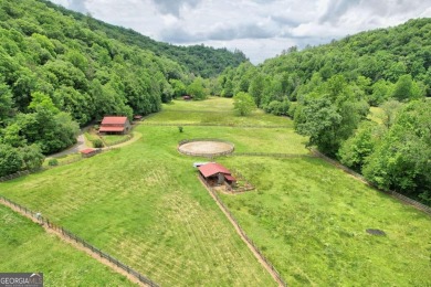 (private lake, pond, creek) Home For Sale in Hayesville North Carolina