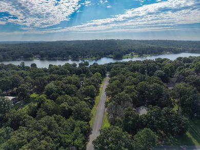 Charming home near Crown Lake on 2 large lots! This adorable - photo 8