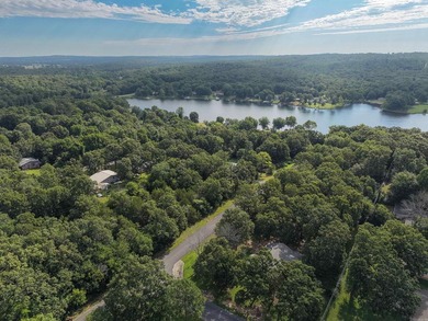 Charming home near Crown Lake on 2 large lots! This adorable - photo 9