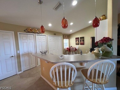 **BRAND NEW HVAC** ENJOY SPECTACULAR LAKE & SUNSET VIEWS from - photo 5