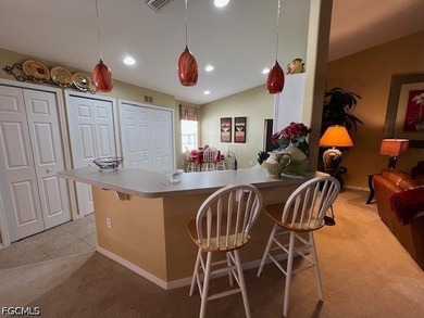 **BRAND NEW HVAC** ENJOY SPECTACULAR LAKE & SUNSET VIEWS from - photo 6