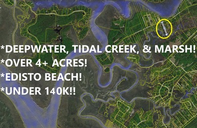 ***DEEP WATER! ****OVER 4.5 ACRES!! ****EDISTO ISLAND!!** - photo 1
