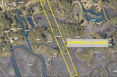 ***DEEP WATER! ****OVER 4.5 ACRES!! ****EDISTO ISLAND!!** - photo 4