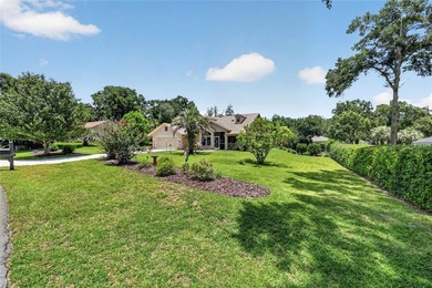 Under contract-accepting backup offers. There's a particular - photo 5