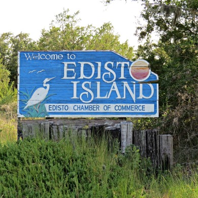 ***DEEP WATER! ****OVER 4.5 ACRES!! ****EDISTO ISLAND!!** - photo 10