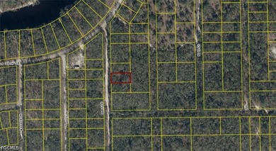 No HOAs, deed restrictions or CDDs!!! Conveniently located to - photo 3