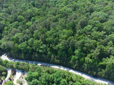 Smith Lake area acreage without the waterfront price tag! Lot - photo 5