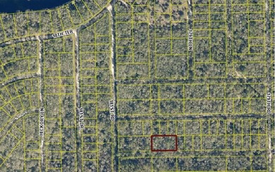 Suwannee River Lot For Sale in Live Oak Florida