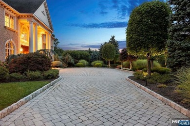 See Virtual Tour for a comprehensive video tour, floor plans & - photo 6