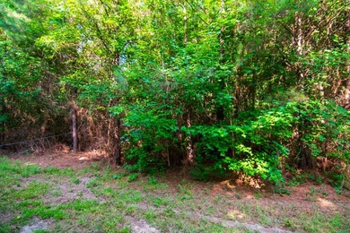 Waverly Hall in Talbot county discover 16 wooded acres with - photo 11