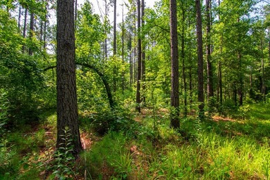 Waverly Hall in Talbot county discover 16 wooded acres with - photo 12