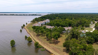 Ground floor corner unit with spectacular views of Lake Marion - photo 19