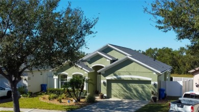 Lake Home For Sale in Riverview, Florida