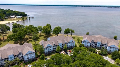 Ground floor corner unit with spectacular views of Lake Marion - photo 28