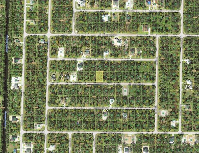 Lovely affordable lot near Murdock with many new homes popping - photo 3