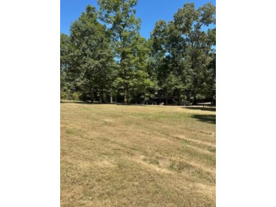 Lake Eufaula / Walter F George Reservoir Lot For Sale in Abbeville Alabama