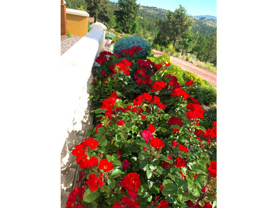 Take in the incredible unobstructed lake and mountain views on a - photo 44