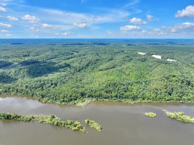 Tennessee River - Perry County Lot For Sale in Holladay Tennessee