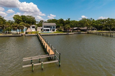 Unique opportunity to own a one-of-a-kind, beautiful property on - photo 27