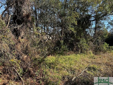 Discover a rare opportunity to own a piece of paradise on Tybee - photo 1
