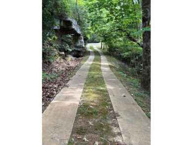 Sunny Lane, a peaceful lakefront retreat on one of Smith Lake's - photo 9