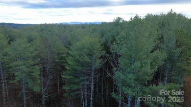 Come be a part of this wonderful gated lake community located by - photo 7